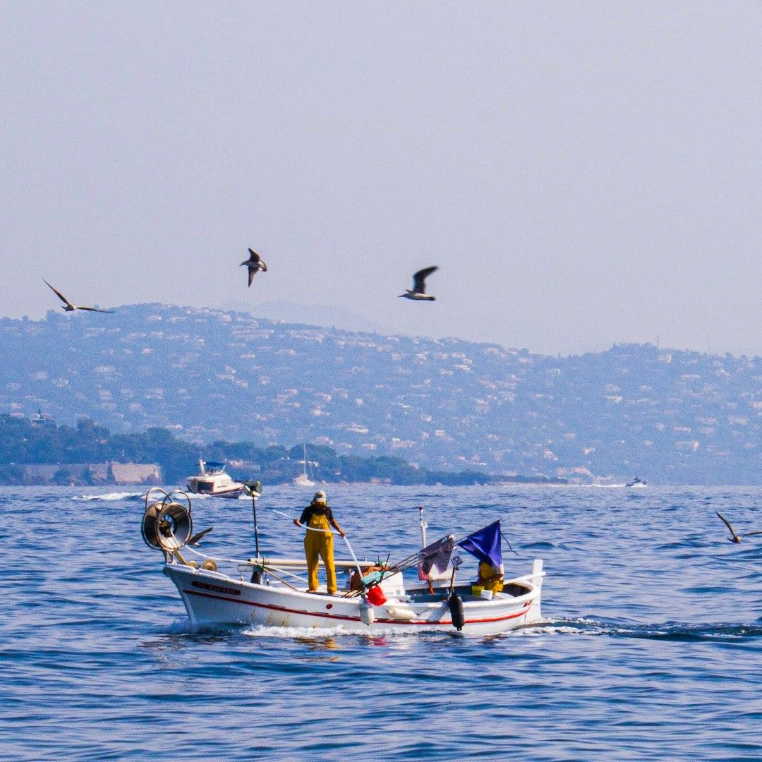 What Makes Professional Fishing Guide Services Stand Out